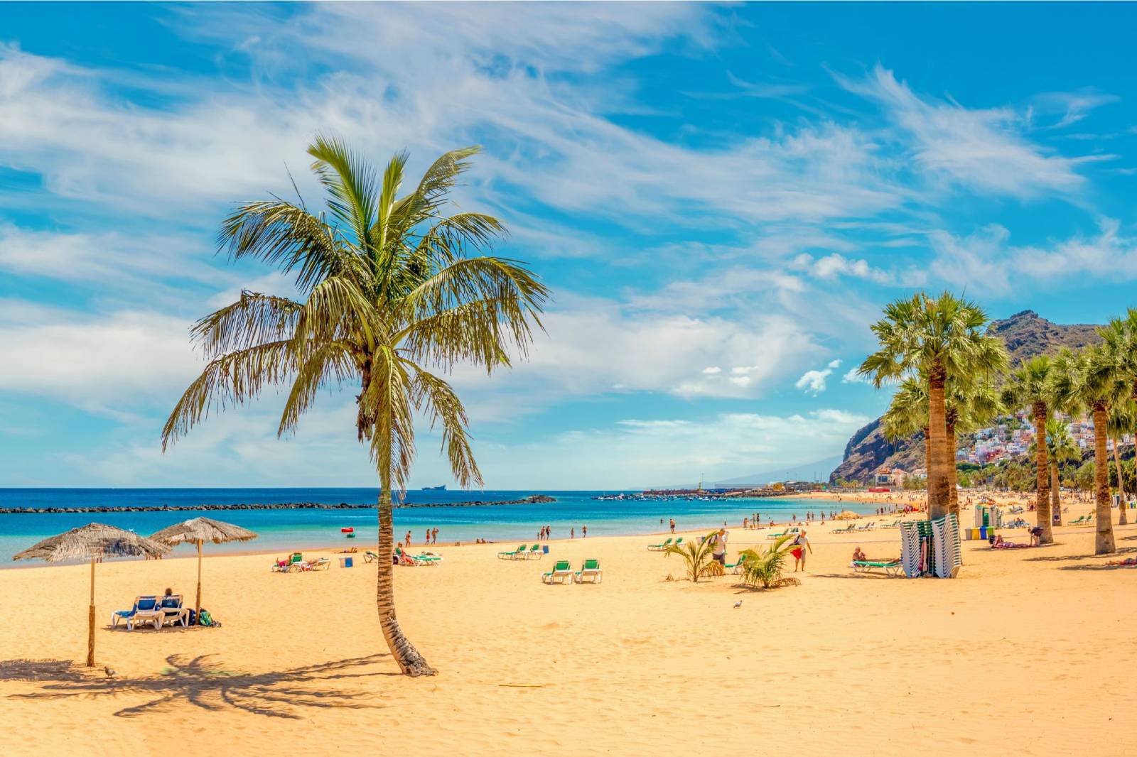 Murray Travel launches expanded charter programme with addition of Tenerife