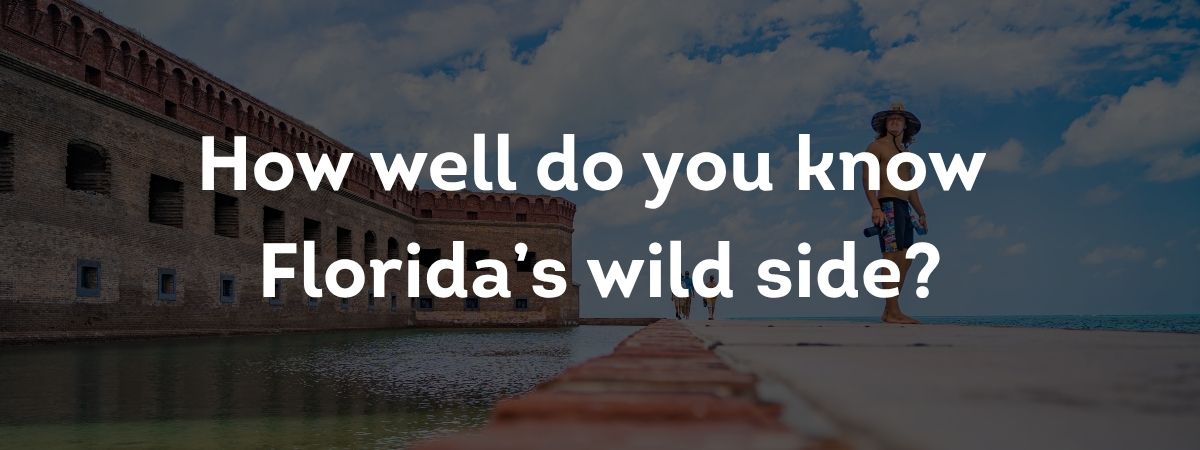How well do you know Florida's wild side?