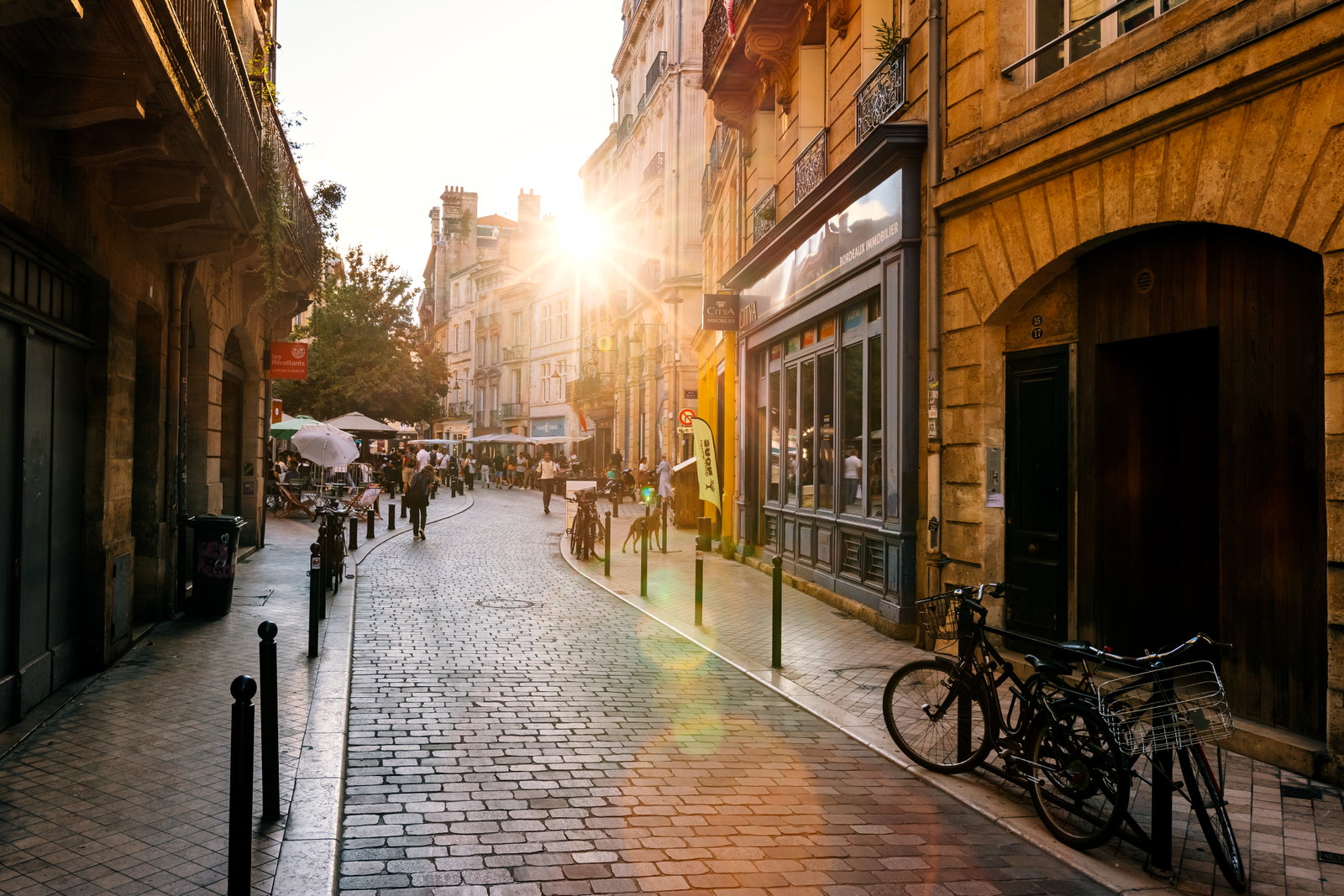 TTC Tour Brands launches Trafalgar small group tours