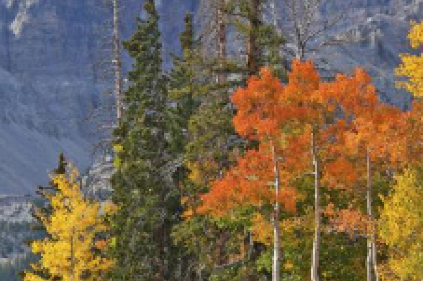 Great Basin National Park in Nevada