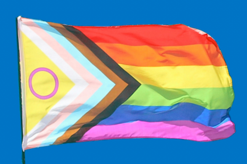 Pride flag trans inclusive