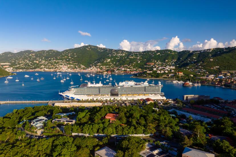 Princess Cruises ship surrounded by Caribbean setting, with blue ocean and tropical trees