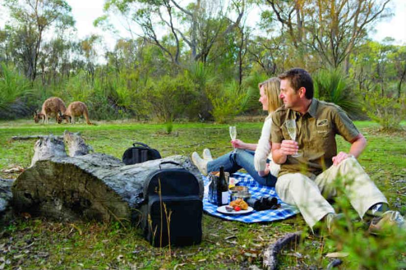 The-Louise-Breakfast-with-the-Kangaroos.jpg