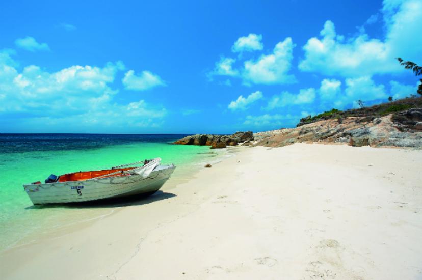105670_LizardIsland.jpg