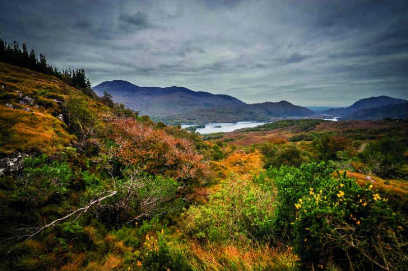 Ring of Kerry (866 of 970).jpg