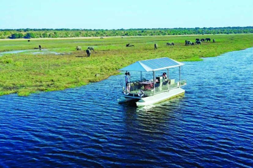 Electric boats at Chobe Game Lodge help guests get closer to the wildlife