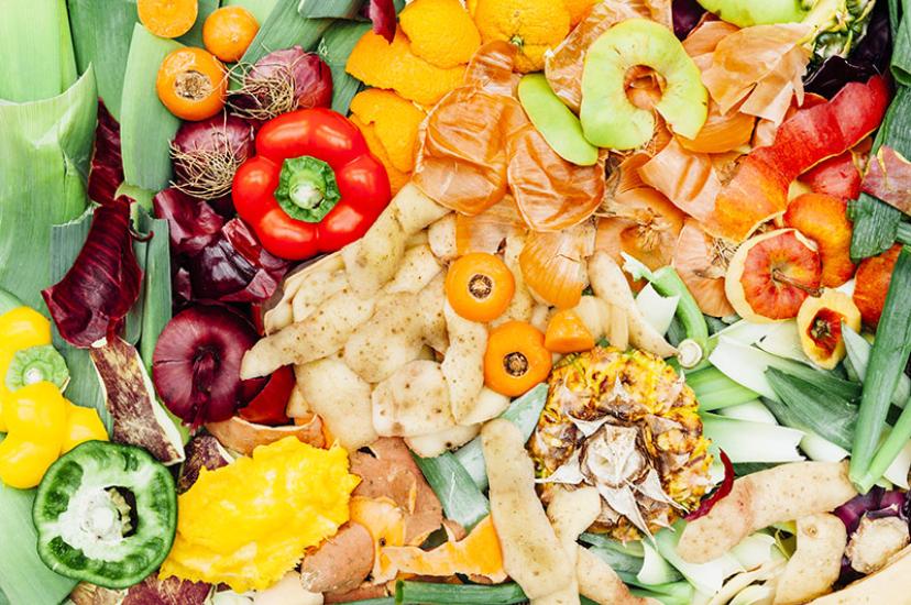 Food-waste.jpg