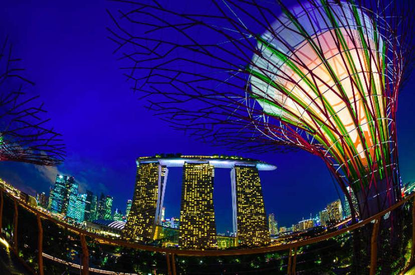 Gardens By The Bay with Marina Bay Sands hotel behind (supplied by STB).jpg