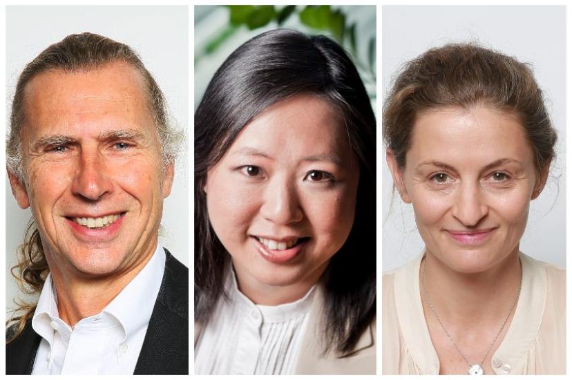 Denis Lacroix, Suzanna Chiu, and Marion Mesnage from Amadeus