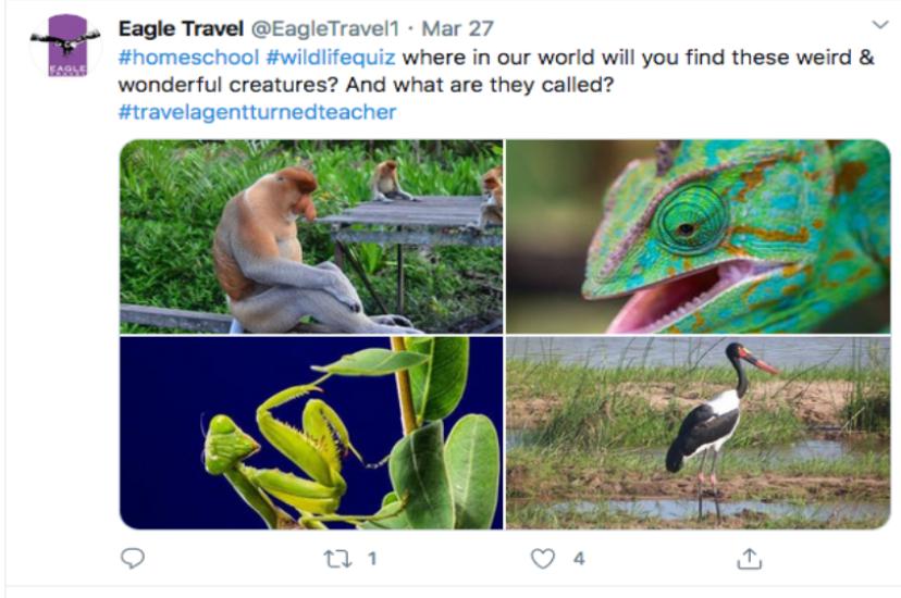 The first quiz saw Eagle ask clients to identify where four exotic animals were from in the world.