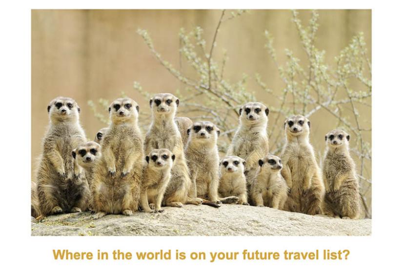 How Travel With Jules has achieved its most successful newsletter ever