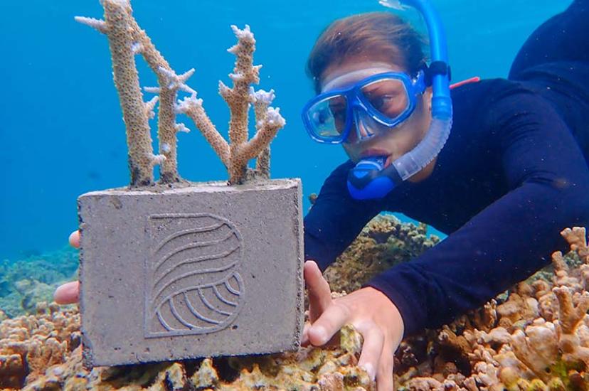 Planting coral fragments at Baros Maldives 
