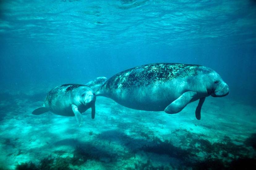 How Tampa Bay's new tourism product is putting the city in the spotlight