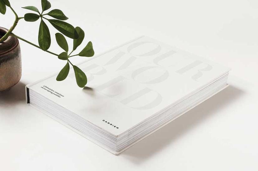 Carrier: Our World brochure