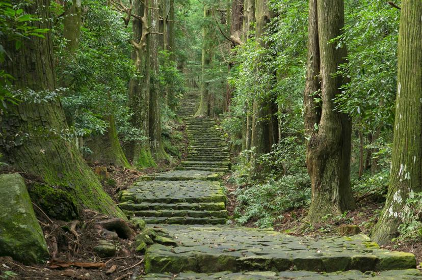 Once a sacred pilgrimage route, the Kumano Kodo can now be walked by anyone
