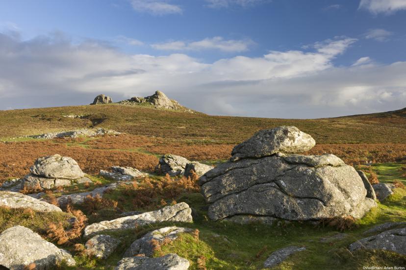  Dartmoor National Park is part of Explore's new Moorscape to Seascape walking holiday. Photo: Visit Britain 