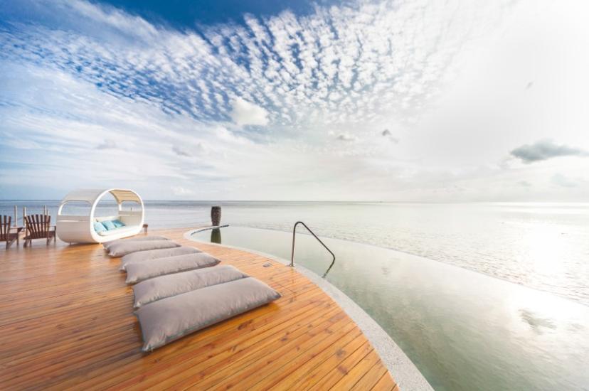 Coco de Mer in the Seychelles
