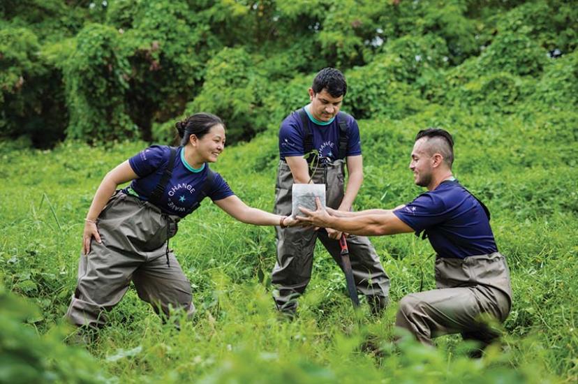 Iberostar Selection Paraiso Maya is home to a mangrove sanctuary