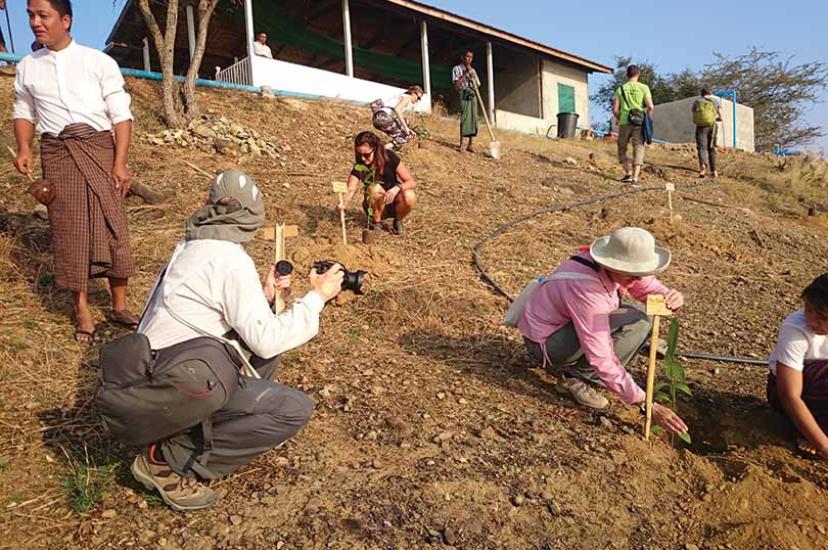 Travellers help plant trees in Myanmar with The Intrepid Foundation
