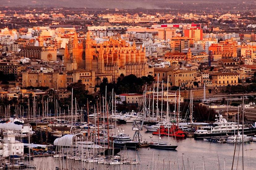 Palma 
