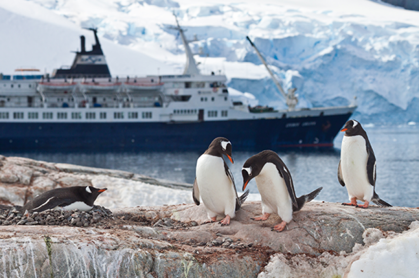 iStock-Antarctica_for_the_print_ad600x4001.png