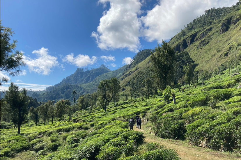 Pekoe Trail Sri Lanka