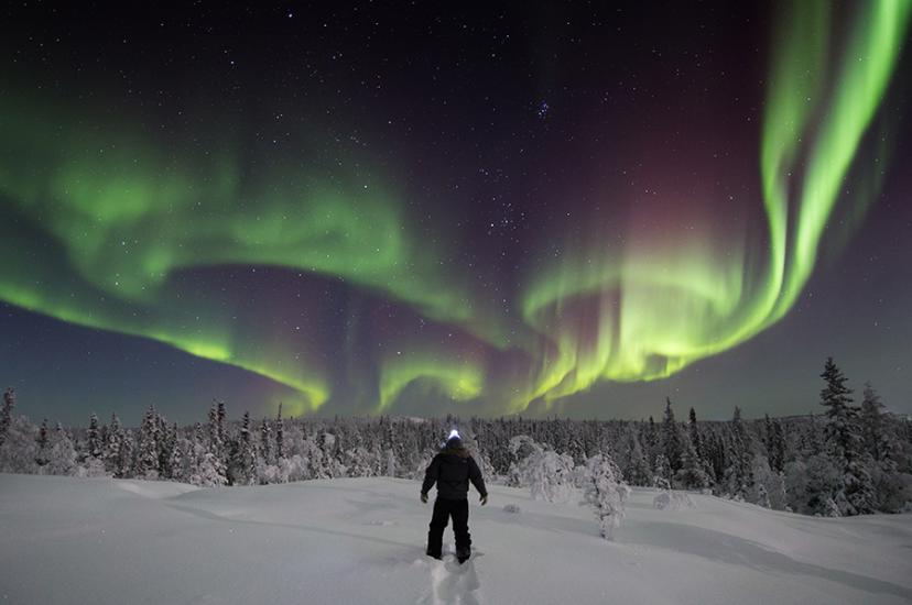 Northern Lights