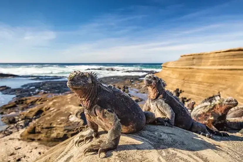 Galapagos