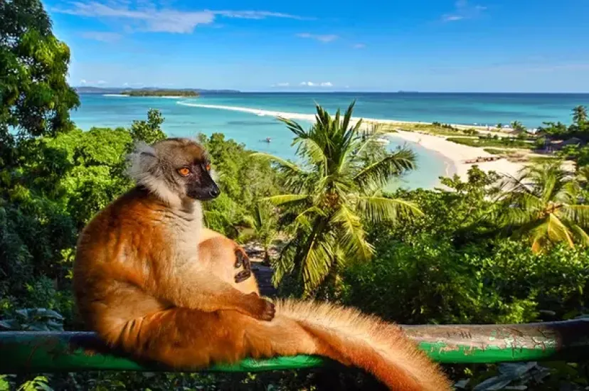 Indian Ocean