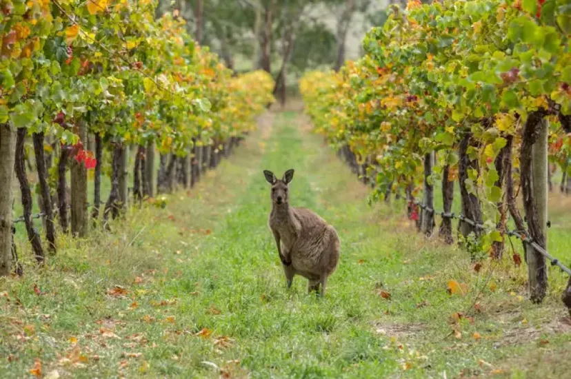 Australia