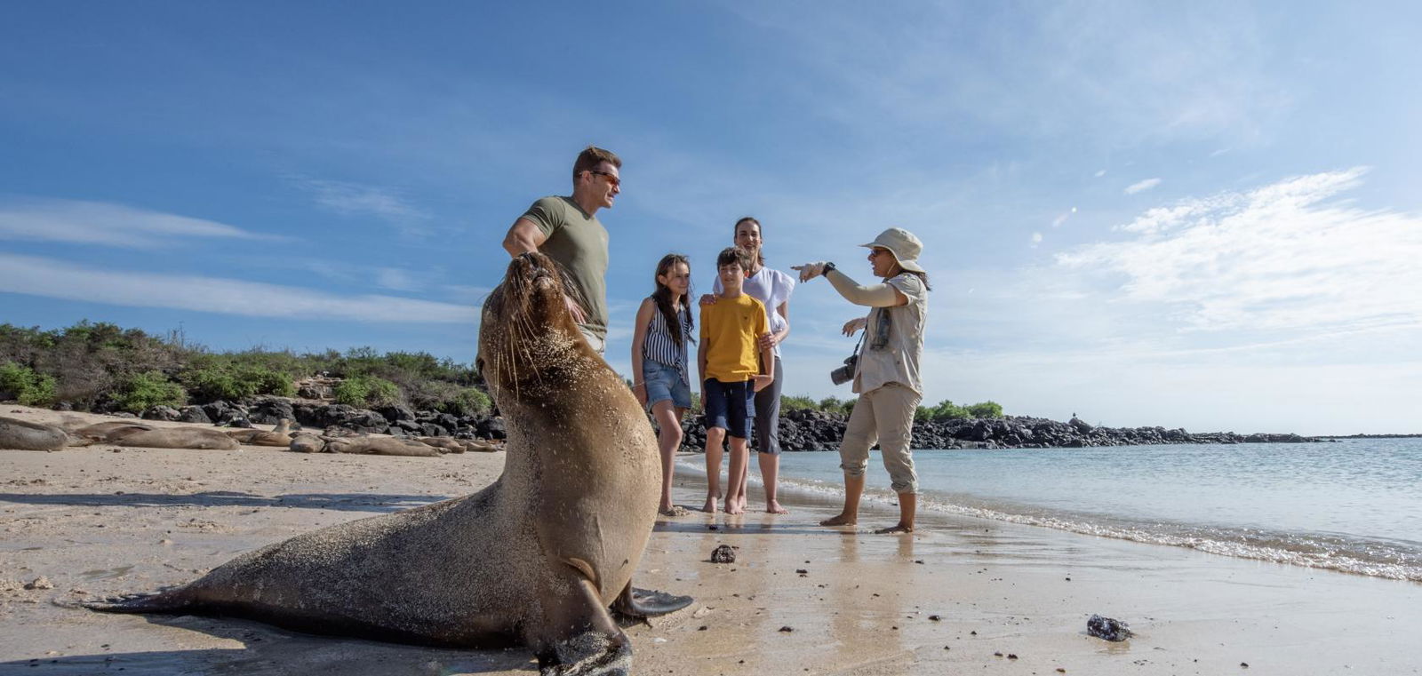 Group of people and guide stand behind a seal on a sandy beach