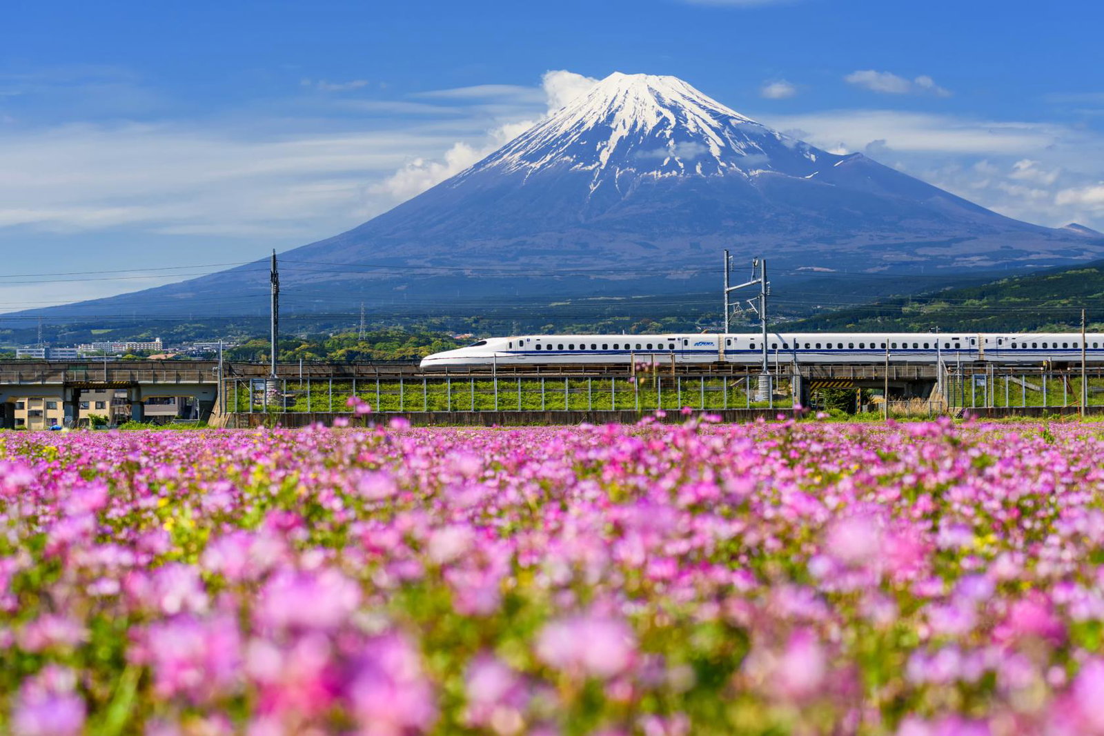 Bullet train and Mt Fuji