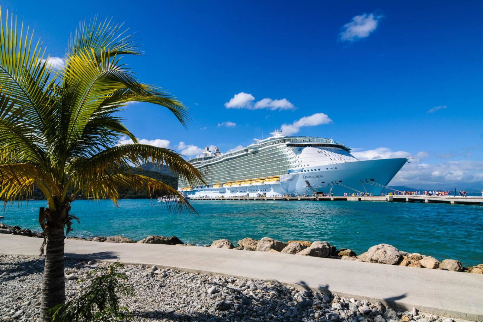 Royal Caribbean Cruise ship docked near palm trees