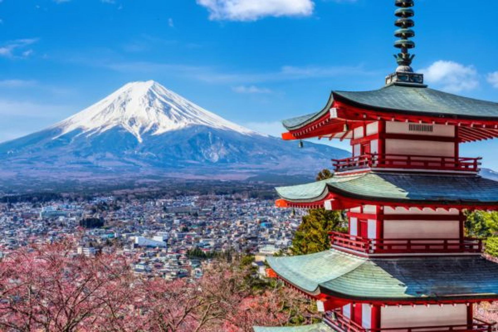 A snowcapped Mt Fuji 