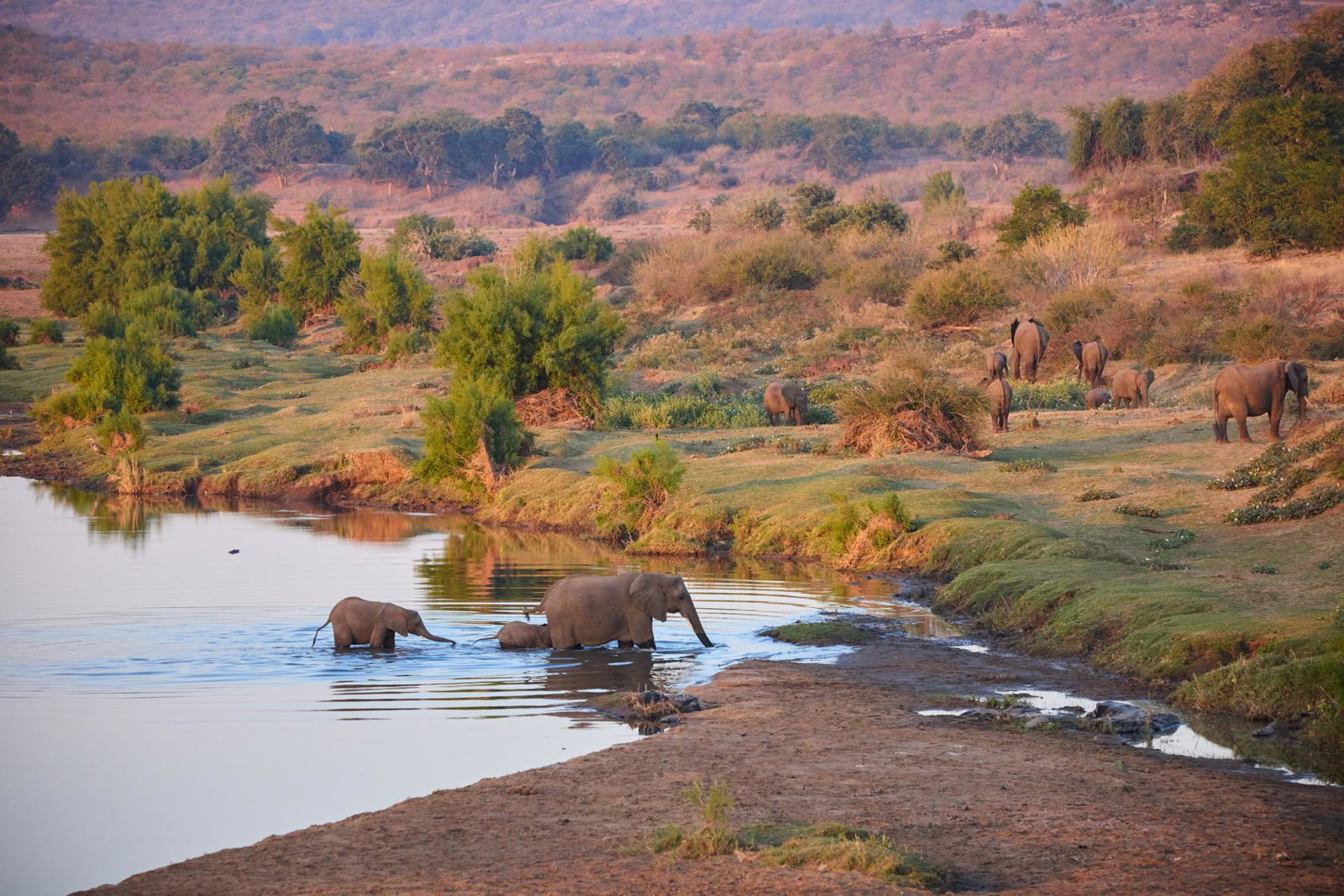 Kruger