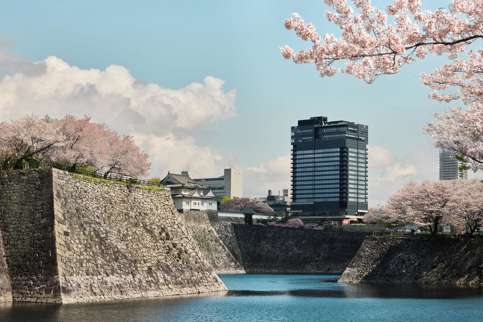 The exterior of Patina Osaka with the cherry blossoms