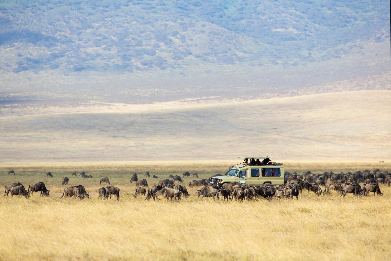 Ngorongoro Safari 