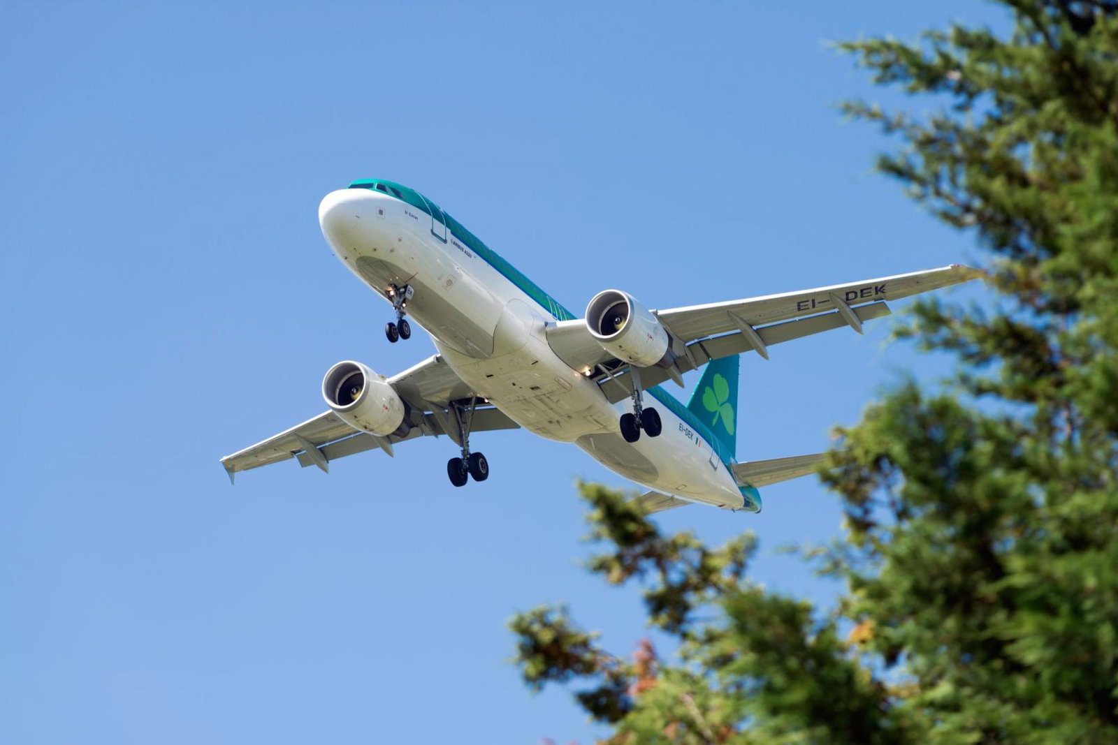 An Aer Lingus aircraft comes in to land at Heathrow airport