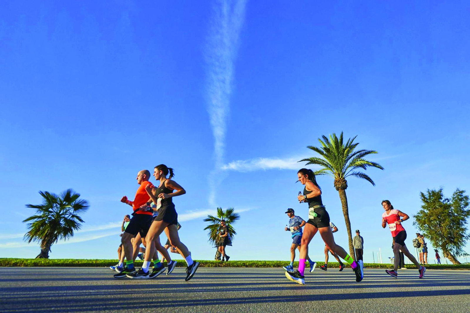 Runners with palm trees in the background. 