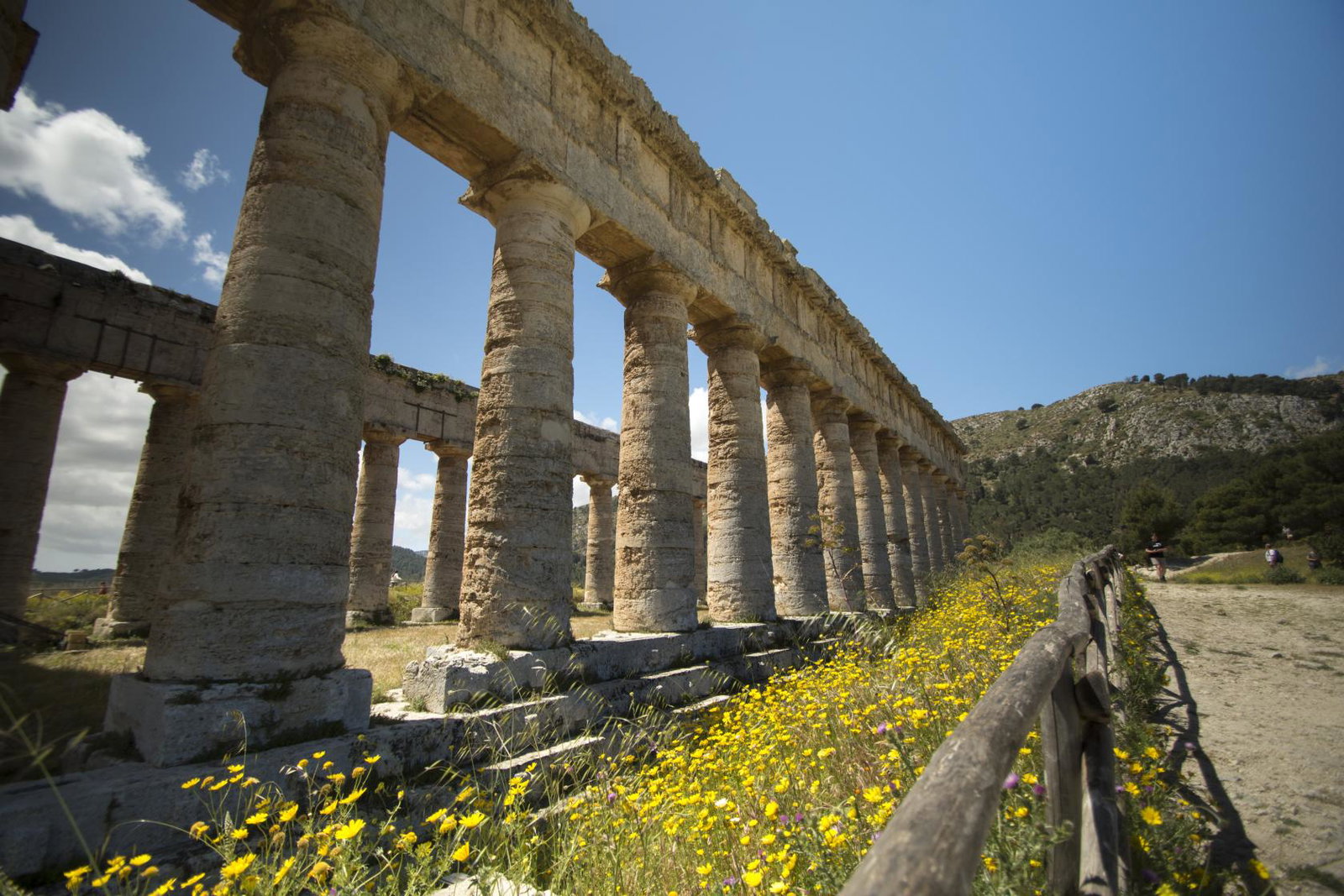 Temple in the ruins at Segesta, Sicily