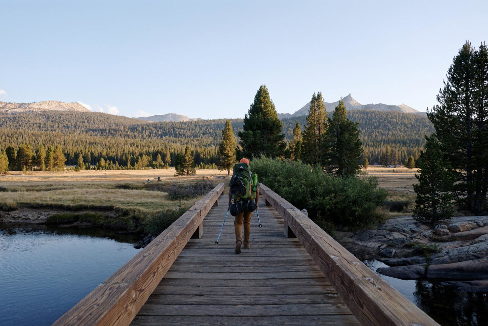 person crossing a bridge surrounded by pine trees 
