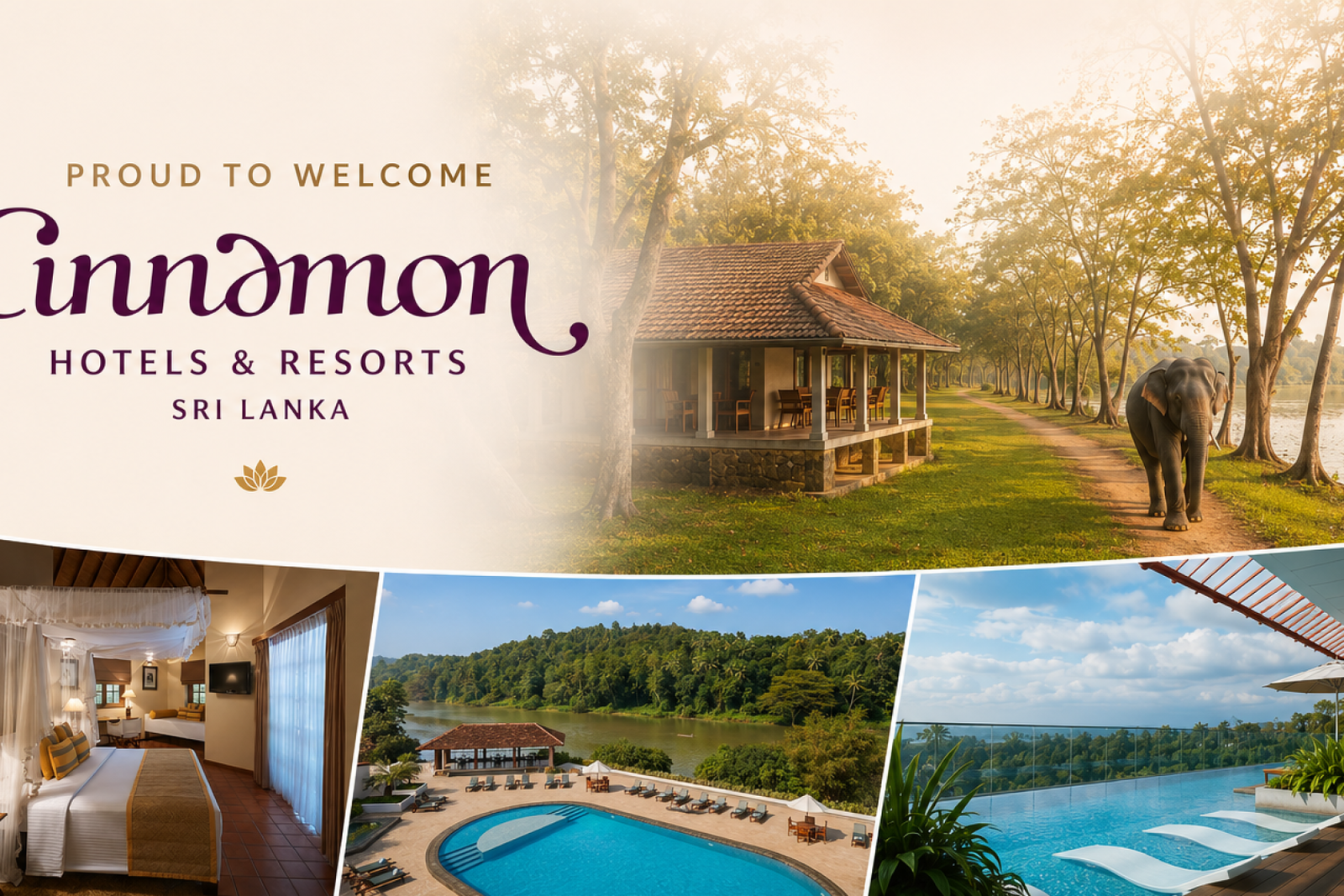 Cinnamon Sri Lanka x Pearl Representation