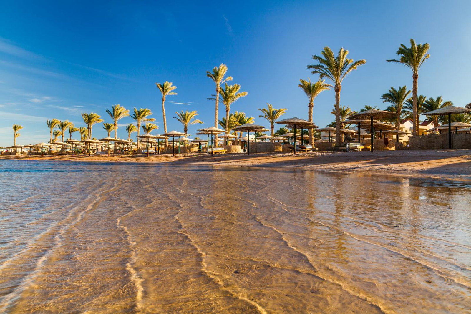 Red Sea Egypt