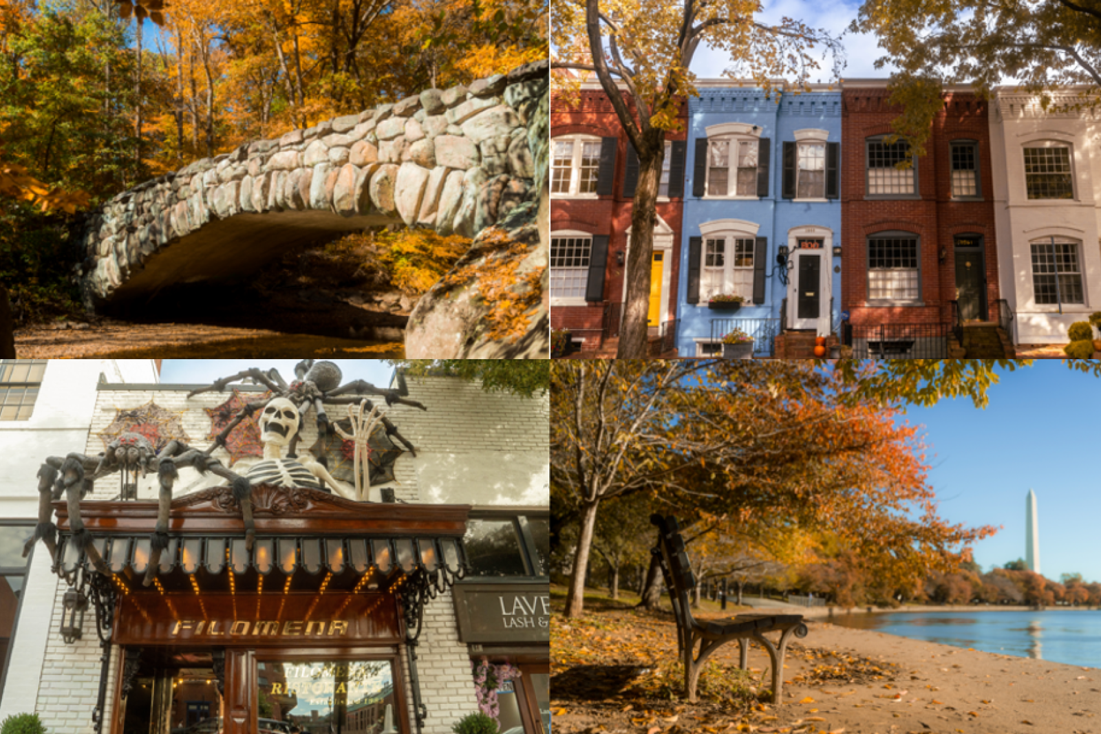 Autumn in Washington, D.C.