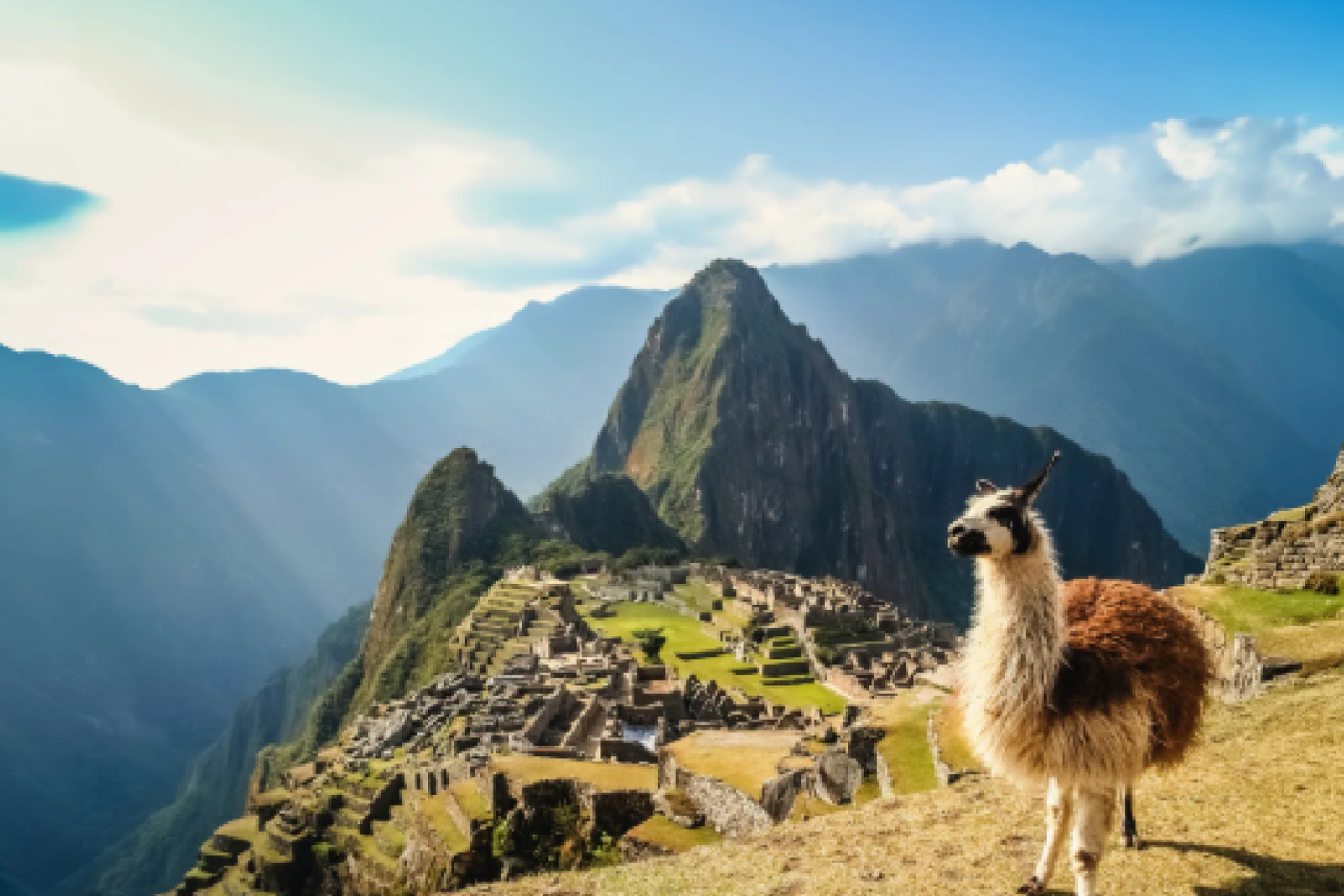 Machu Picchu