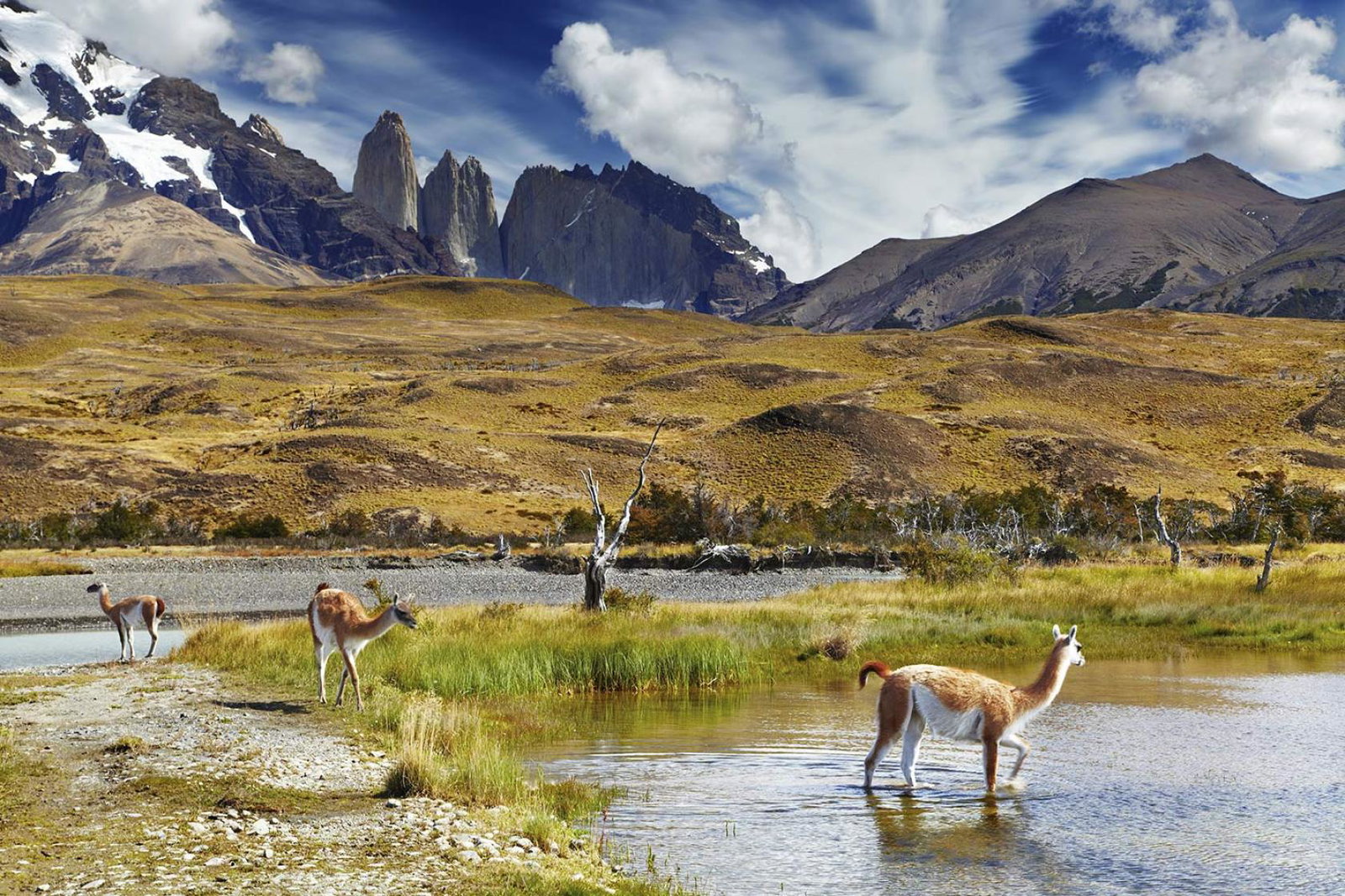 Torres, Patagonia (stock)