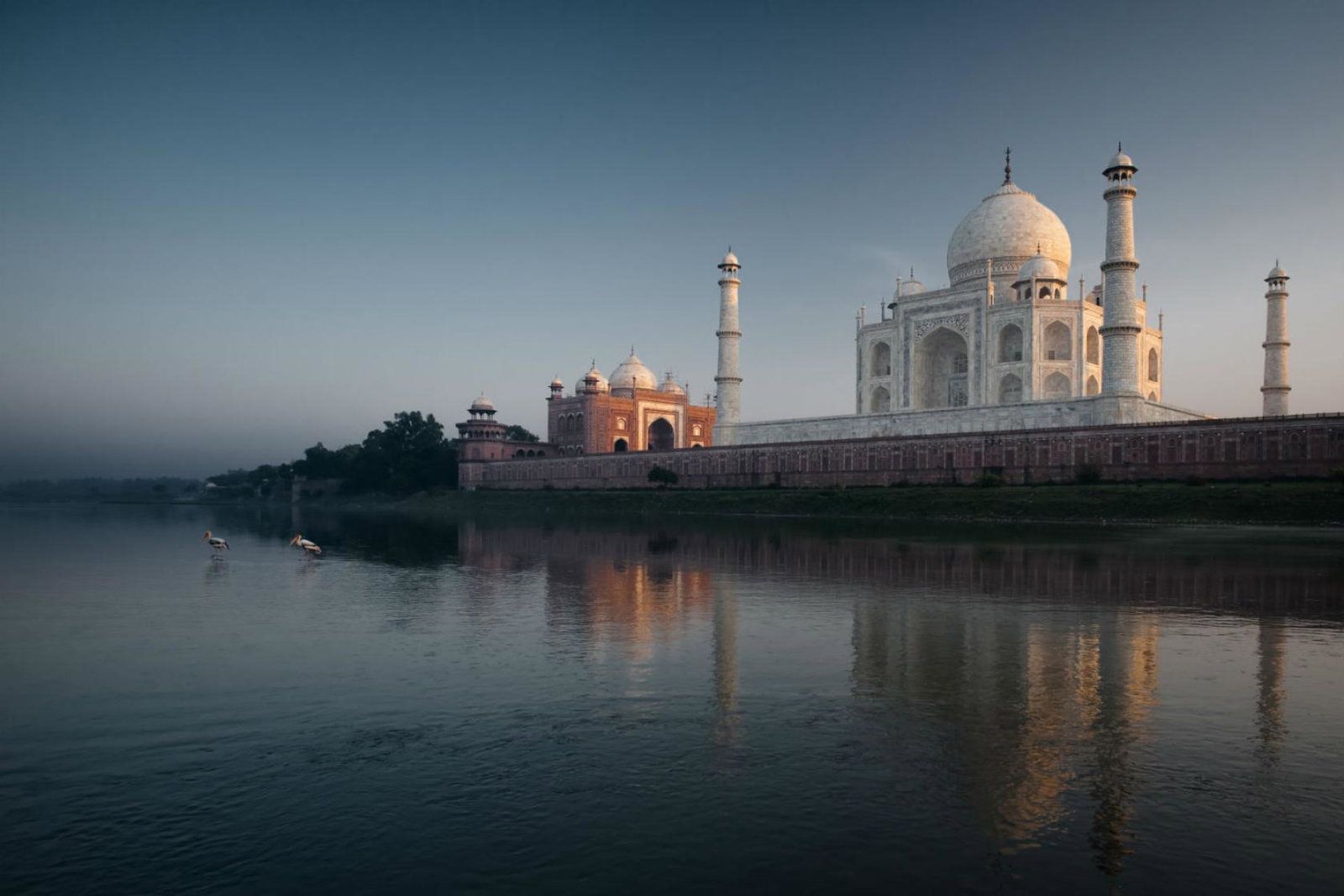 The Taj Mahal has reopened to local visitors