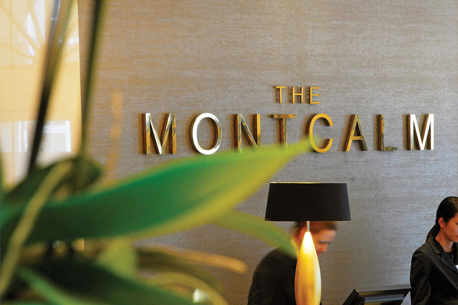 The-Montcalm.jpg