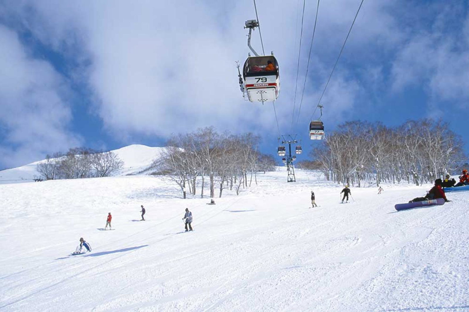 Niseko Japan skiing snowboarding Asia