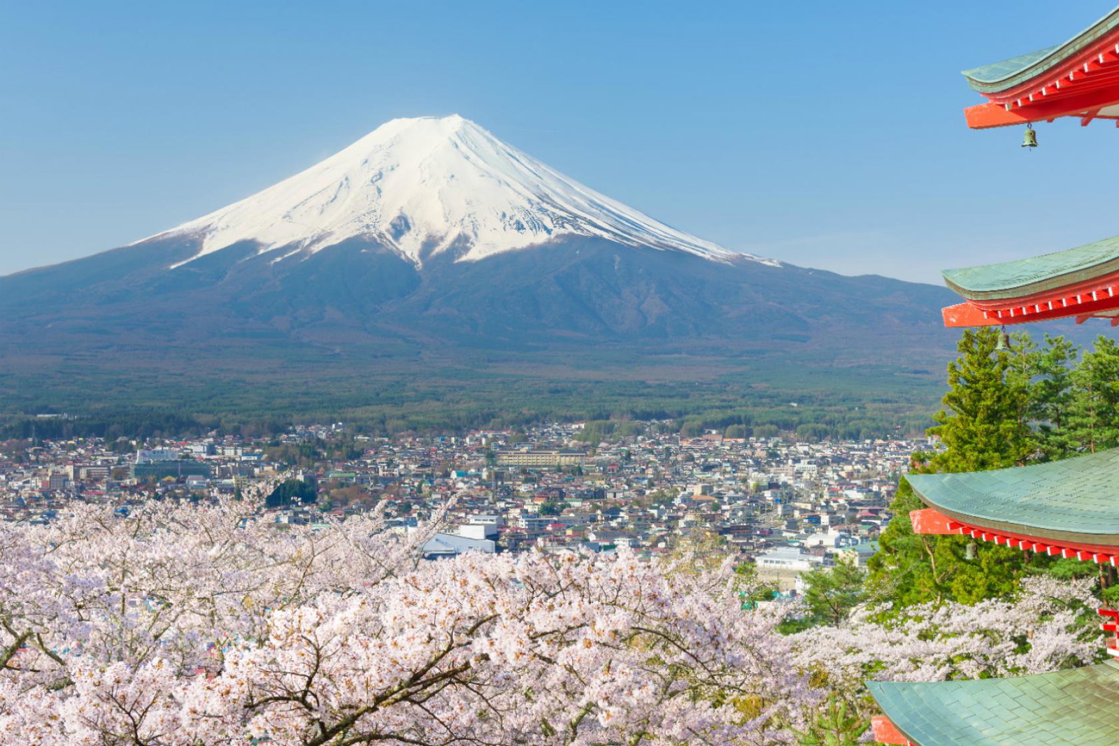 japan.jpg